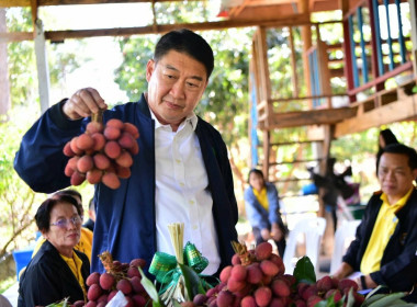 อธิบดีกรมส่งเสริมสหกรณ์ ลงพื้นที่เยี่ยมชมแปลงลิ้นจี่ ... พารามิเตอร์รูปภาพ 25